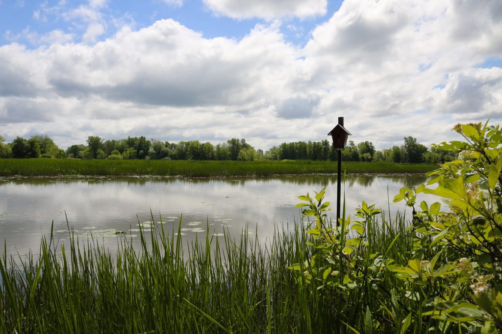 Un sondage pour planifier la conservation des milieux naturels dans Pierre-De Saurel